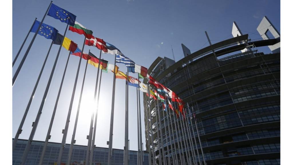 EU flags