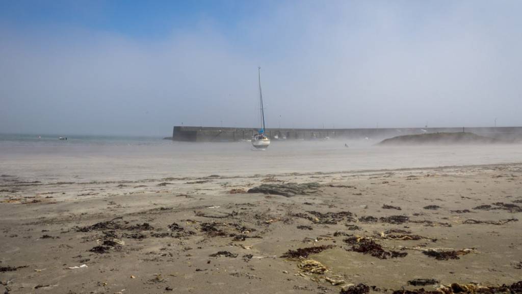Ballywalter winds