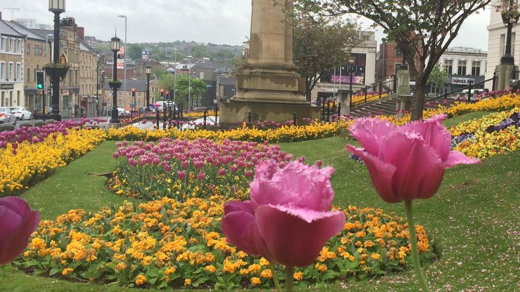 Bbc Local Live Sheffield And South Yorkshire On Thursday 26 May