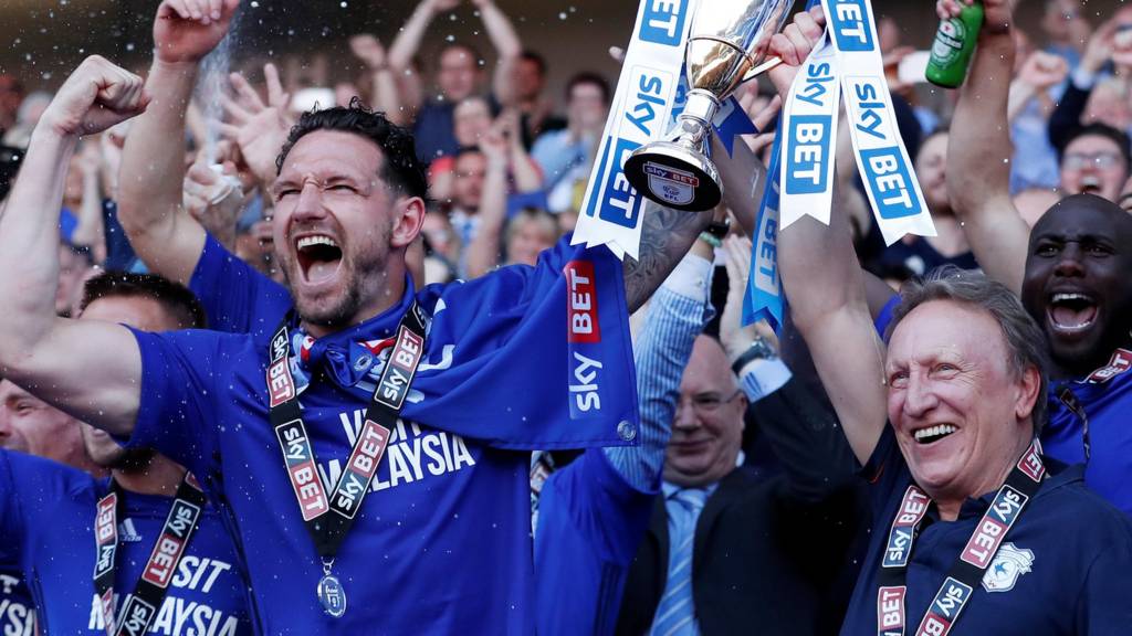 Cardiff City: Championship club report losses of £29m - BBC Sport