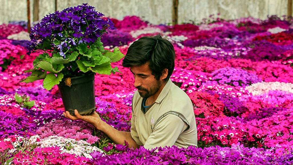 باغ گل پاکدشت