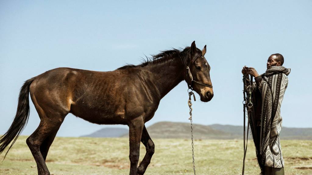 A horse breeder in Lesotho and a two-year-old Basotho pony - October 2022