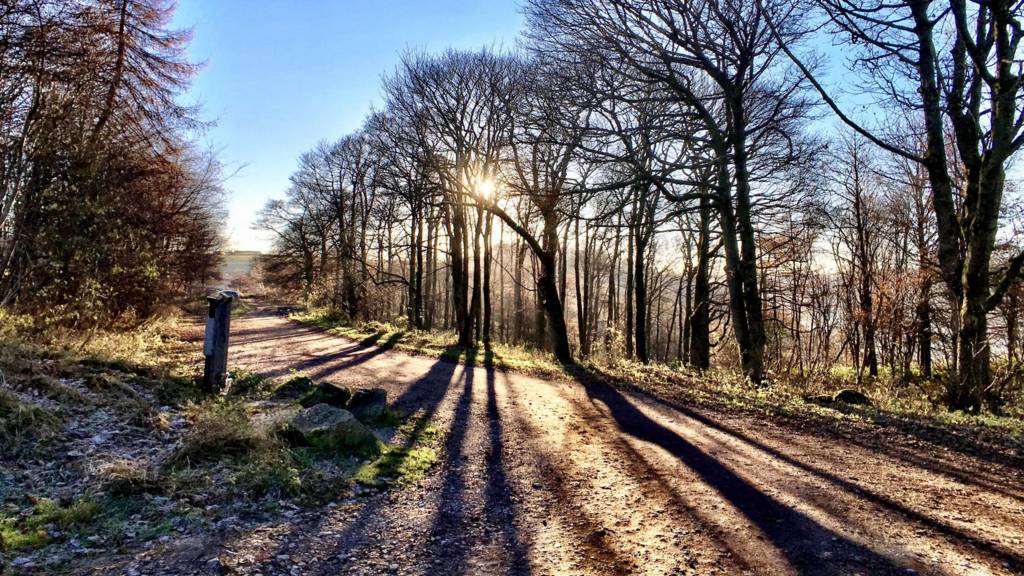 Longshaw estate