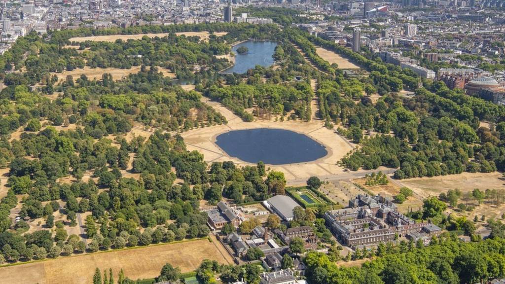 Hyde Park with parched, yellow grass
