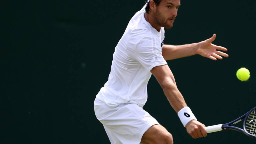 Joao Sousa