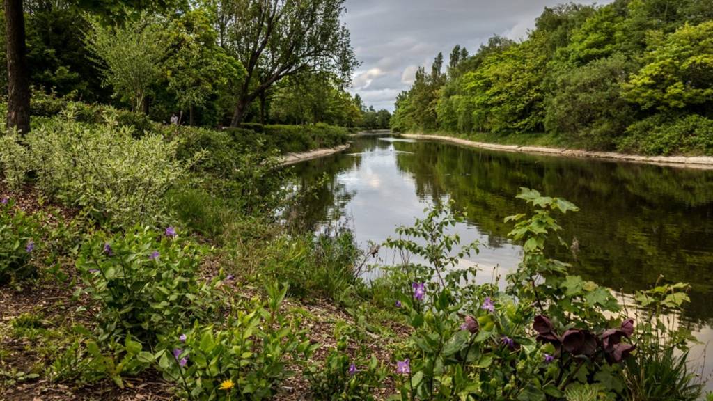 Victoria Park, Belfast