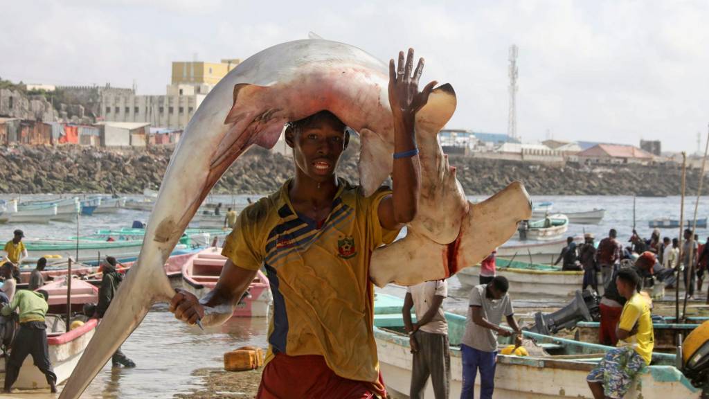 Osman Abdulahi dauke da kifin da ya kamo a tsafkin Orobo a Mogadishu, babban birnin Somalia ranar 5 ga watan Nuwambar 2021