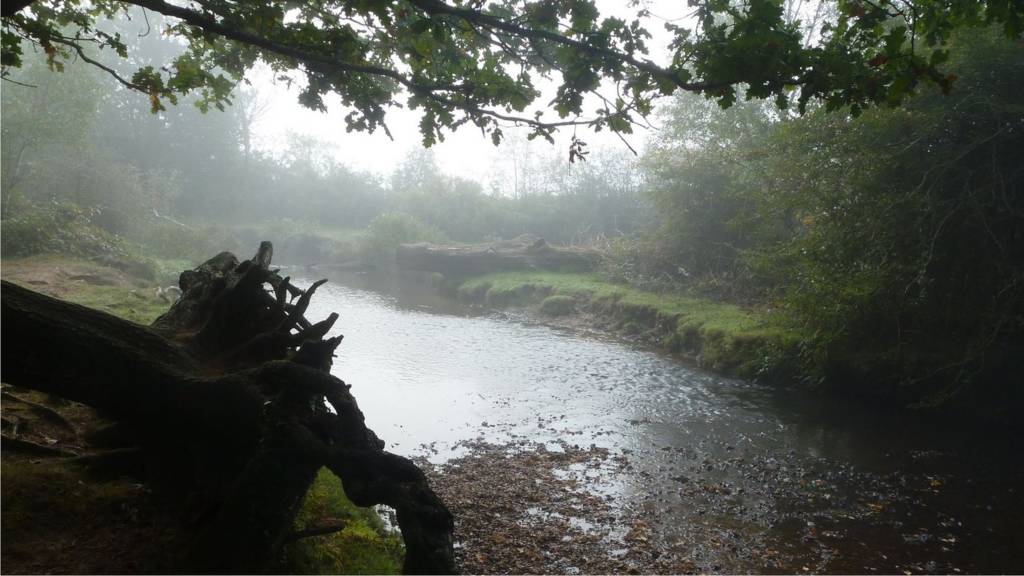 Puttles Bridge in the New Forest