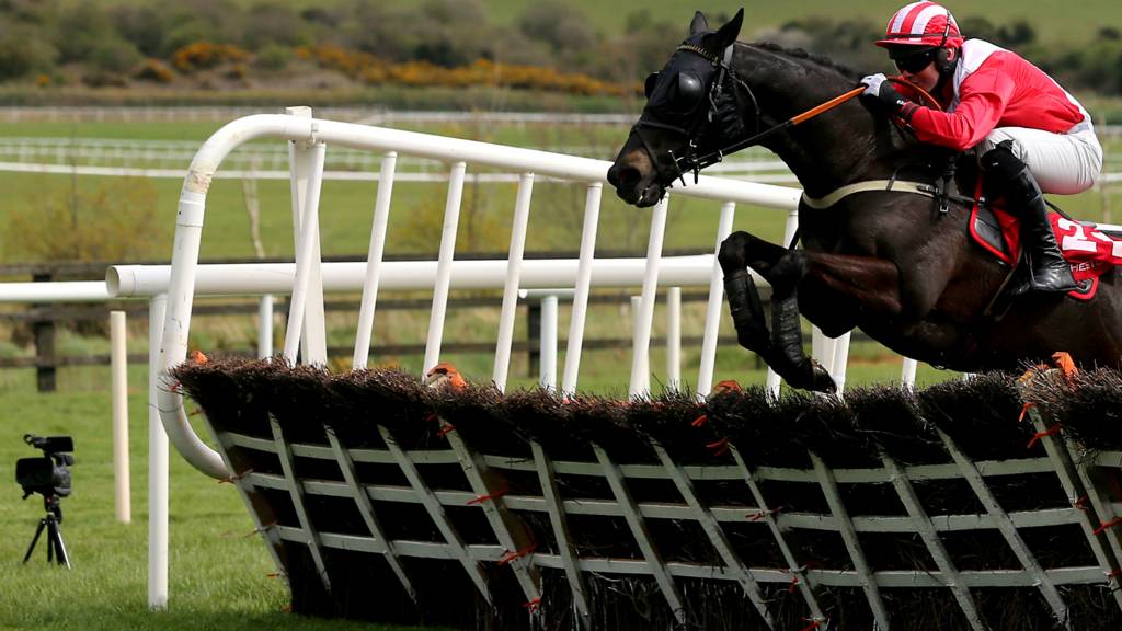 Horse racing from Punchestown Live BBC Sport