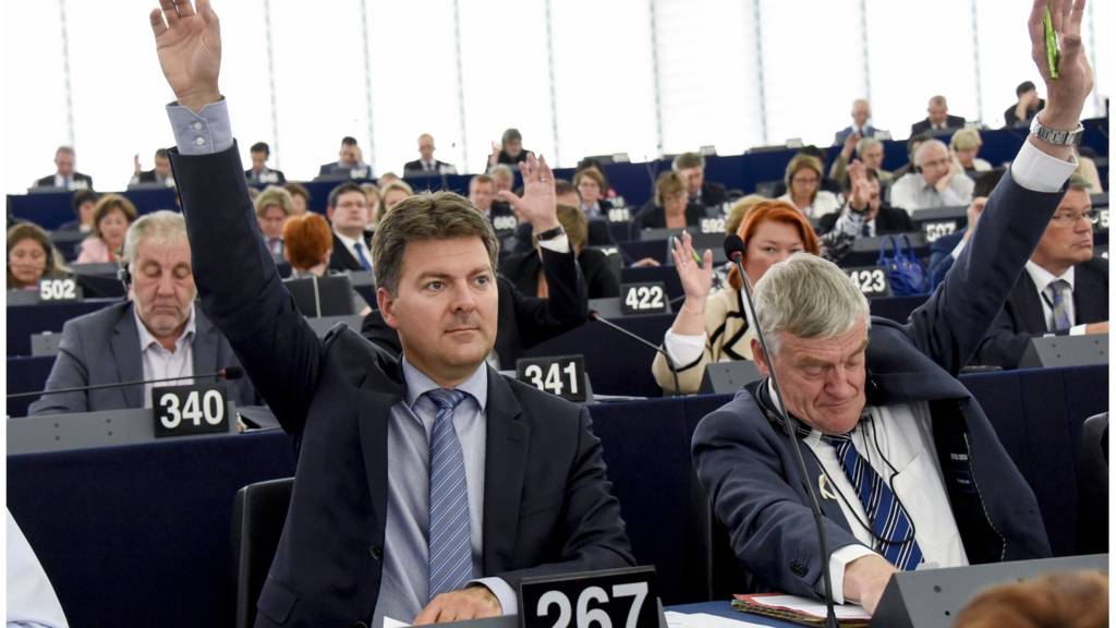 Vote in the Strasbourg hemicycle