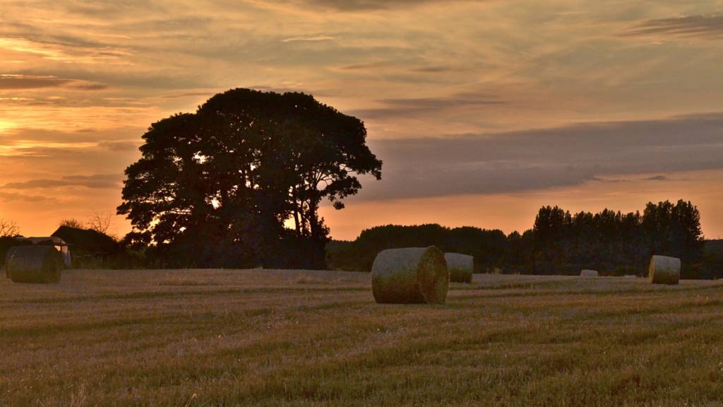 Wymondham sunset