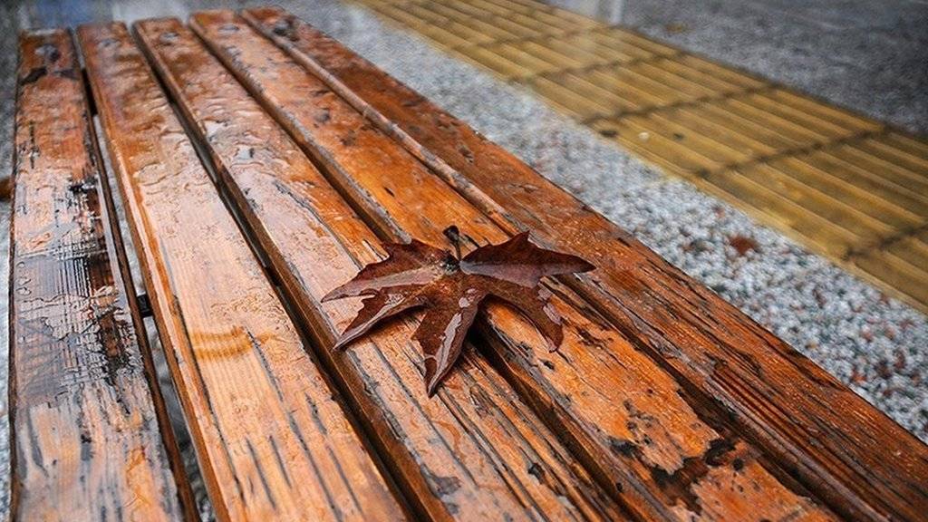 بارش باران در رشت