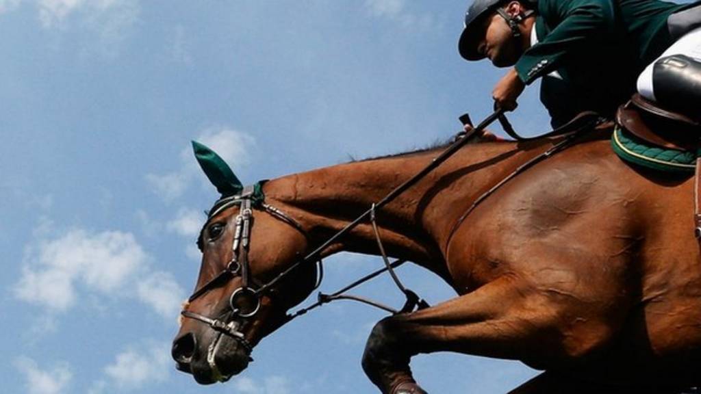 Equestrian jumping