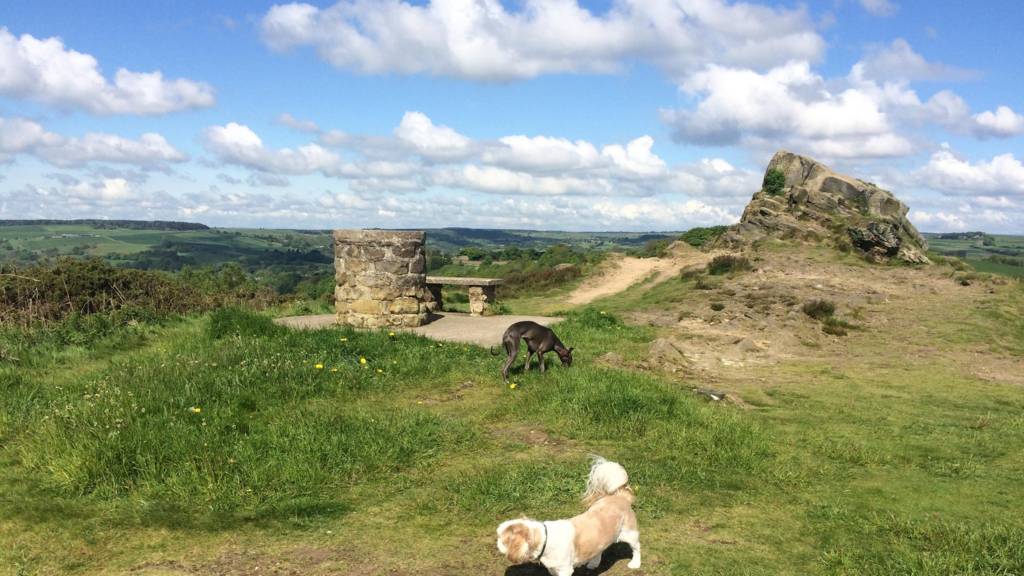 Ashover