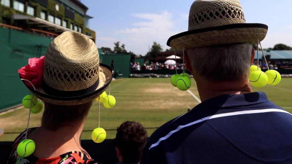 Fans at Wimbledon