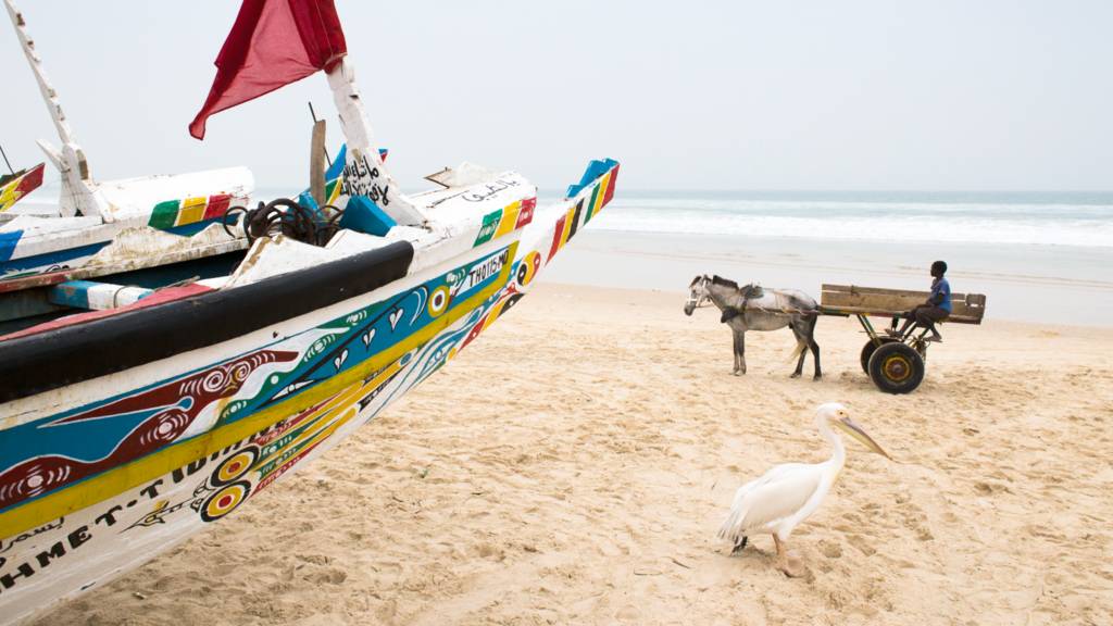 Pelican and boy on a cart pulled by a horse next to a boat on Mboro beach, Senegal