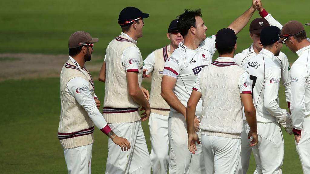 Somerset wicket celebration