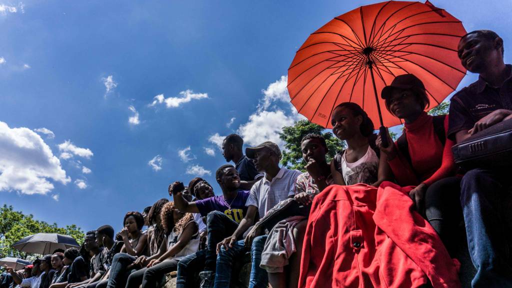Zimbabwean protestors