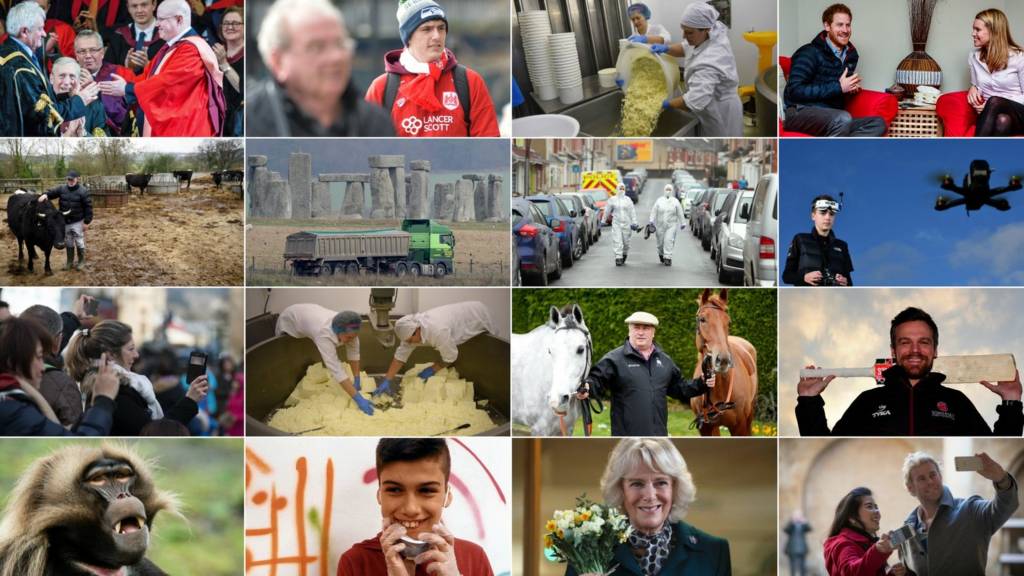 West country montage