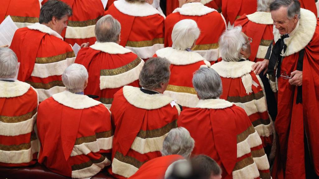 Lords debate bill on hereditary peers BBC News