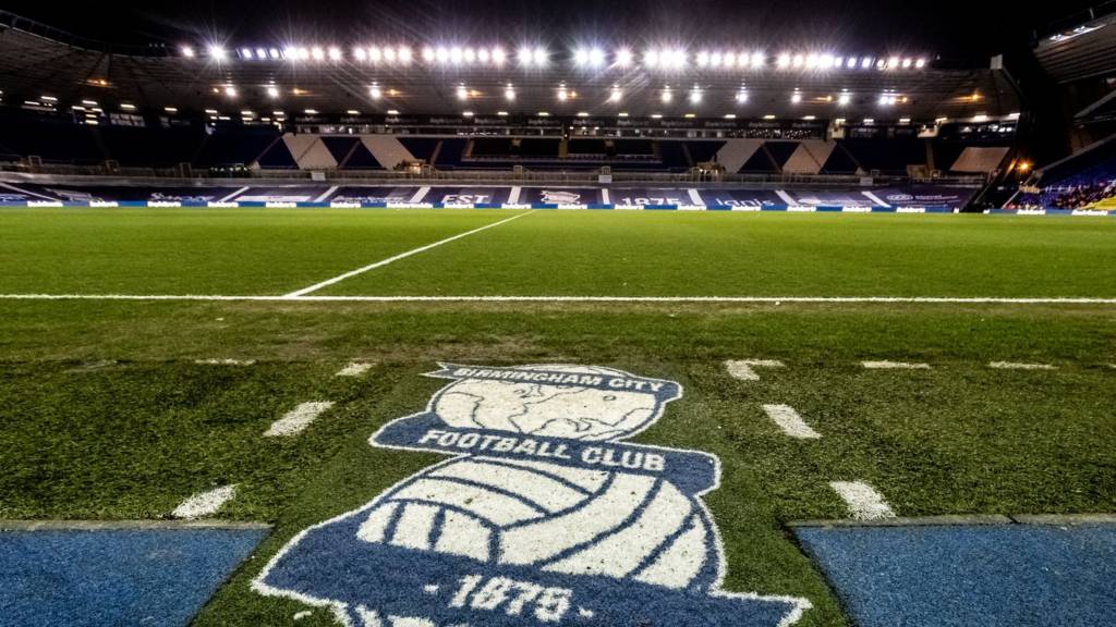 Cardiff City: Championship club report losses of £29m - BBC Sport