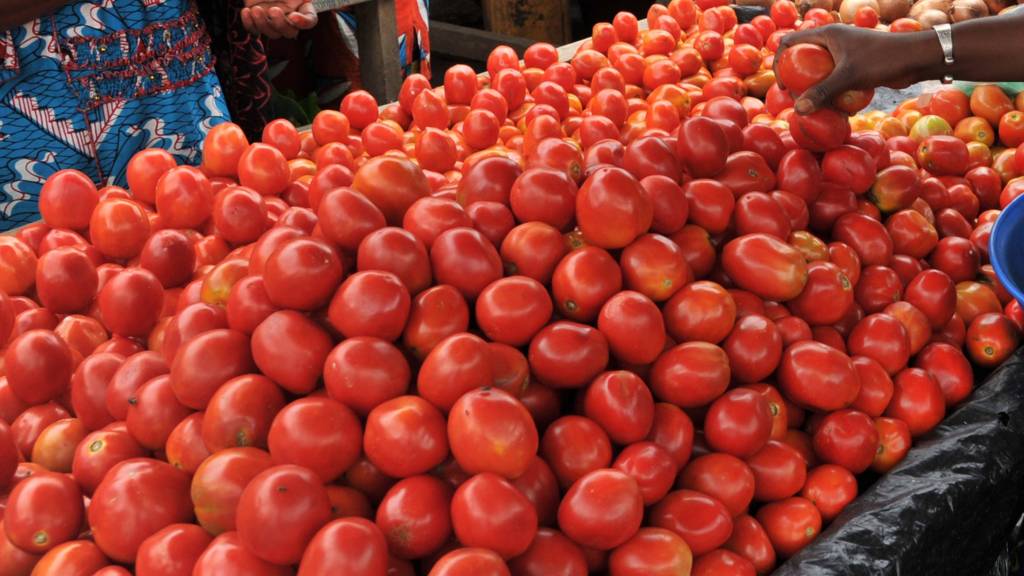 Pile of tomatoes