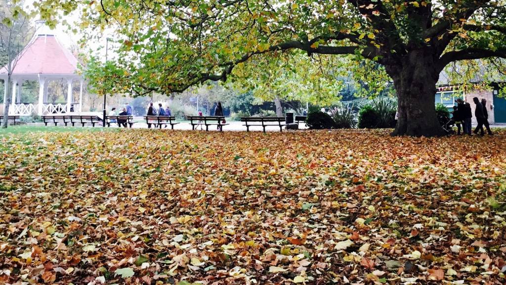 Chapelfield Gardens, Norwich
