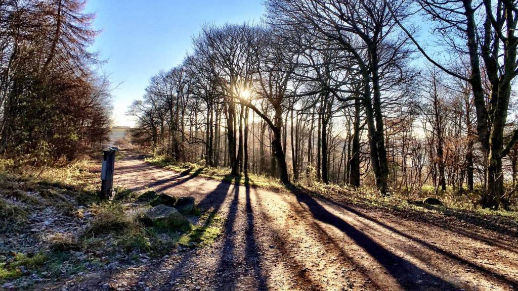 Longshaw estate