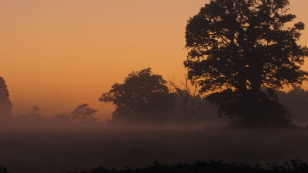 Catton Park