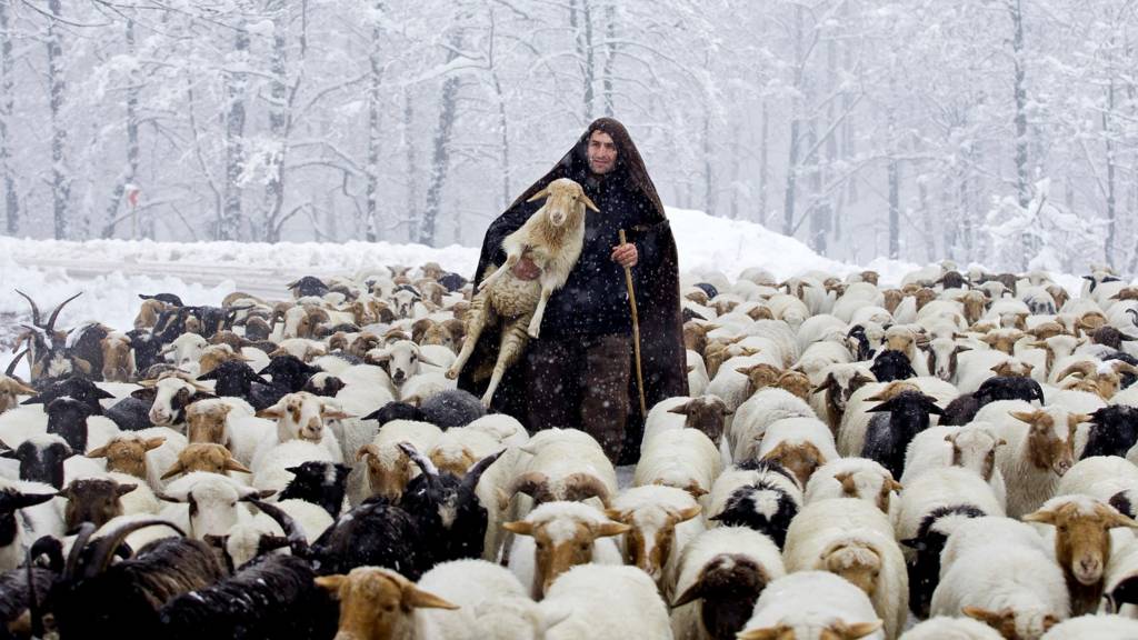 ایران