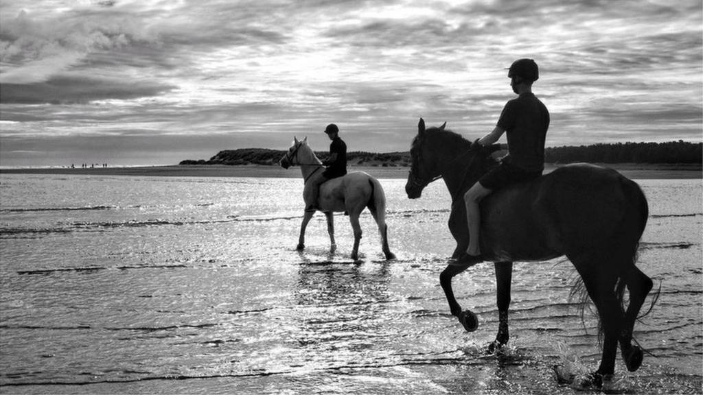 Household Cavalry training in Norfolk