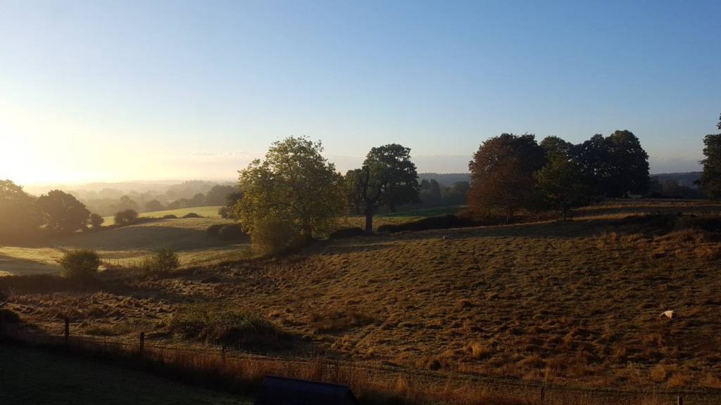 New Forest sunrise
