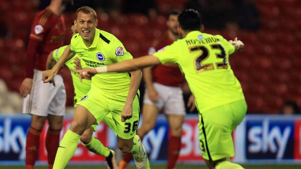 Steve Sidwell scores winner for Brighton
