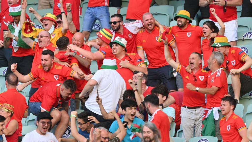 Wales fans celebrate