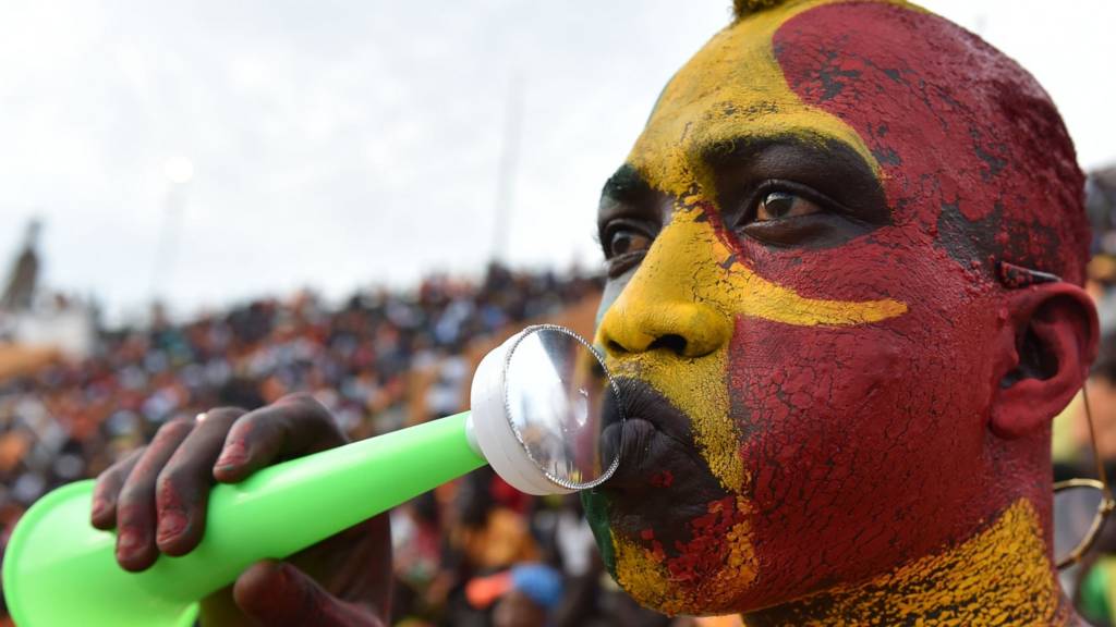 Football fan