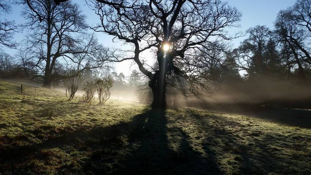 Minterne Magna