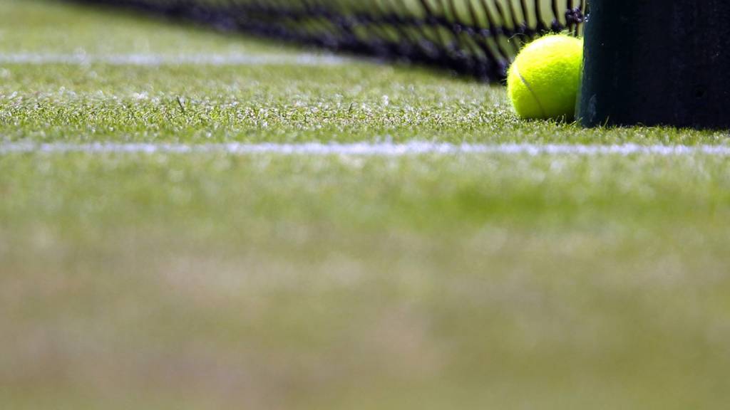 generic net at wimbledon