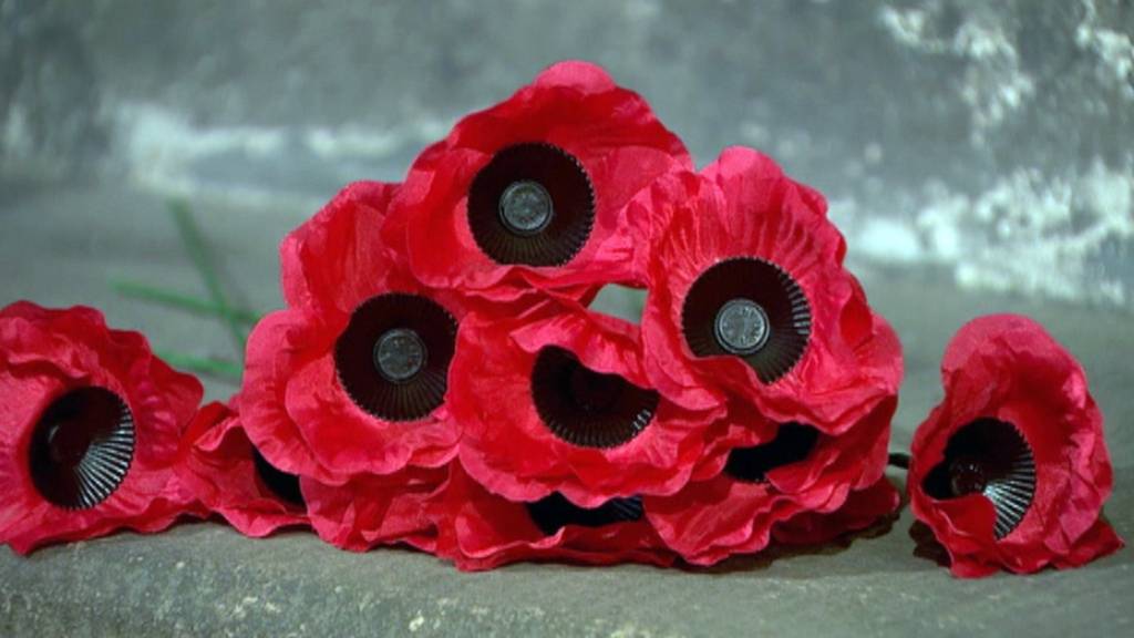 Poppies