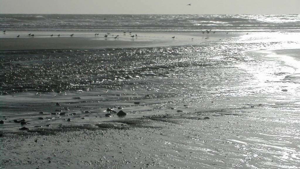 pentewan