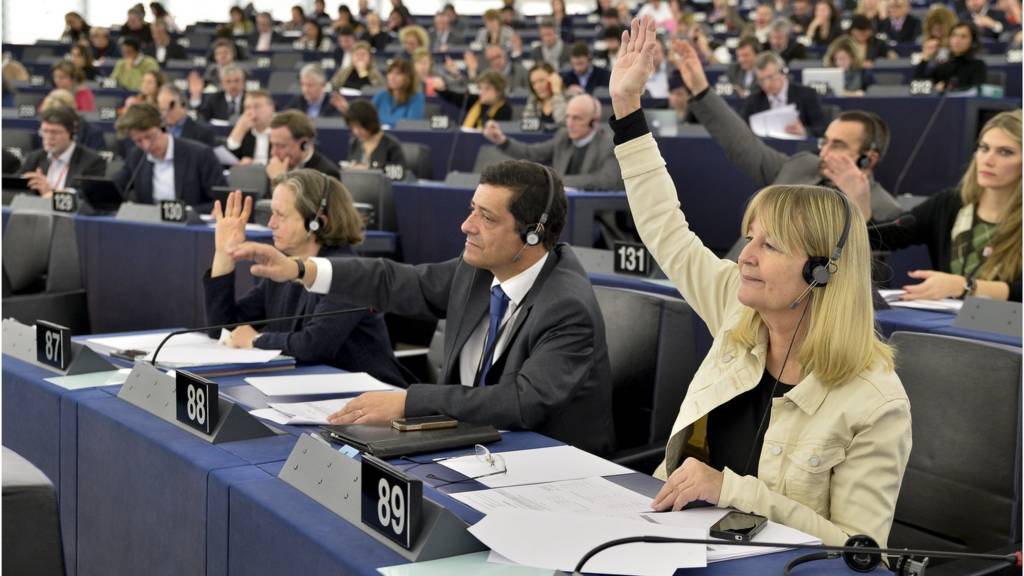 Voting in the European Parliament, Strasbourg