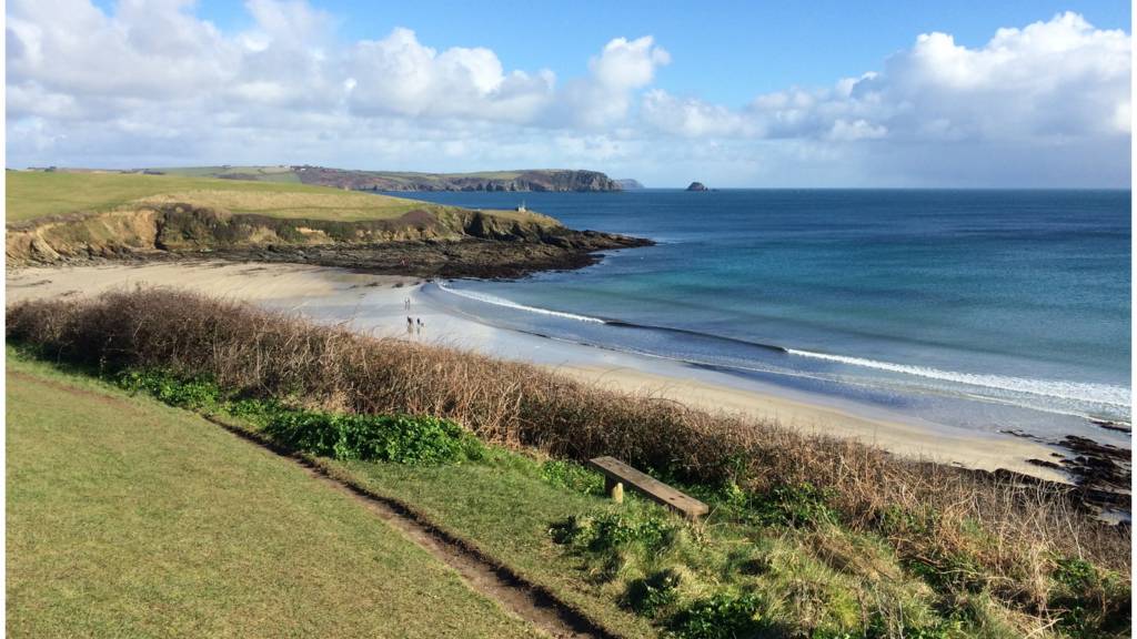 Rosevine beach