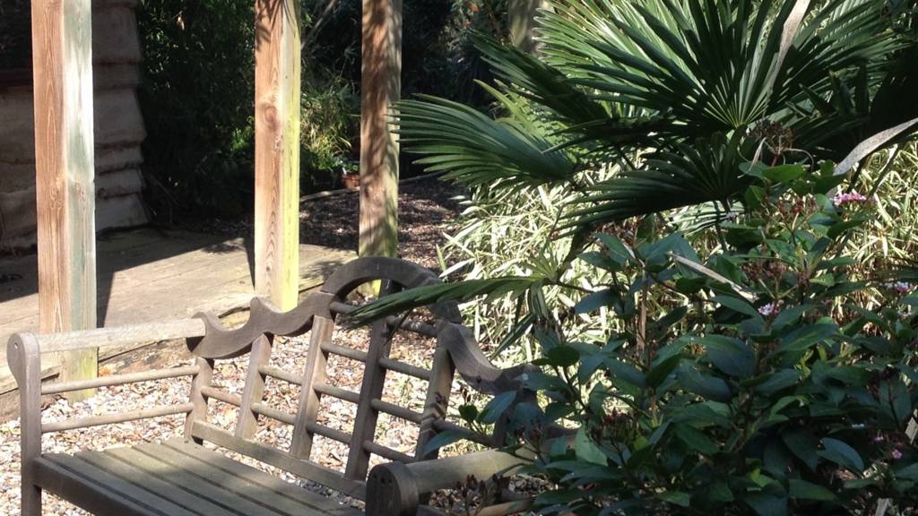 Henstead Exotic Garden nr Beccles