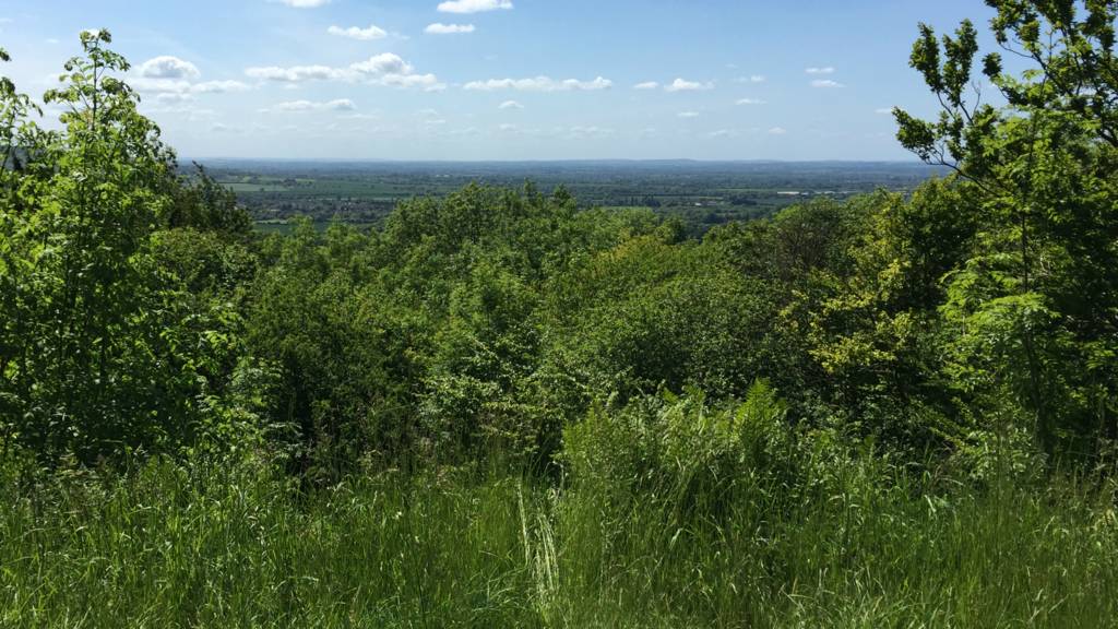 BBC Local Live Beds, Herts & Bucks BBC News