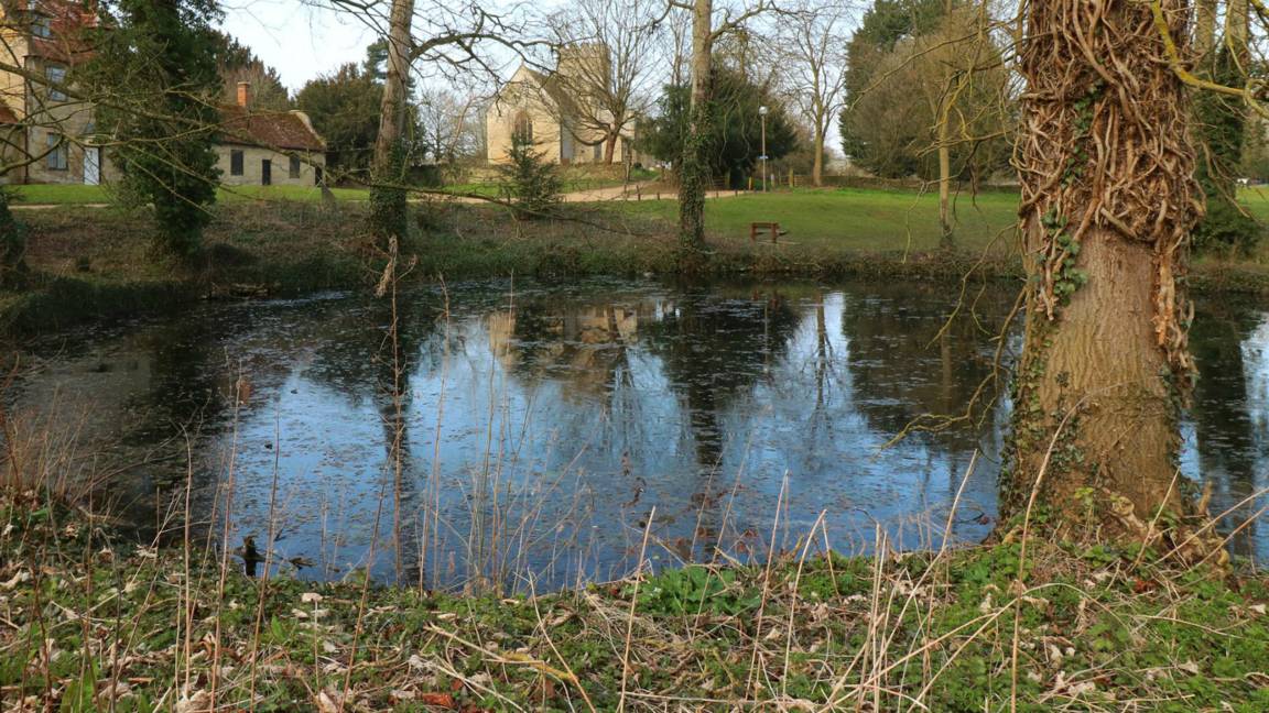 BBC Local Live Beds, Herts & Bucks on Monday, 11 April 2016 BBC News