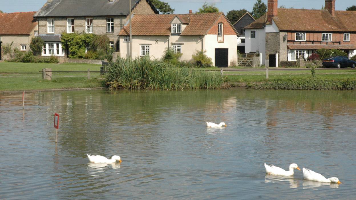 BBC Local Live Beds, Herts & Bucks on Tuesday 15 September 2015. BBC