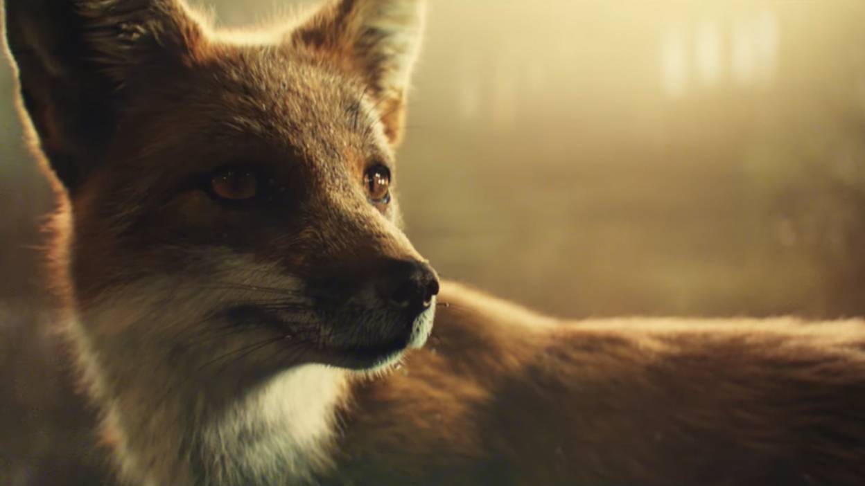 Imho Why I Hate Those John Lewis Christmas Ads Bbc Three