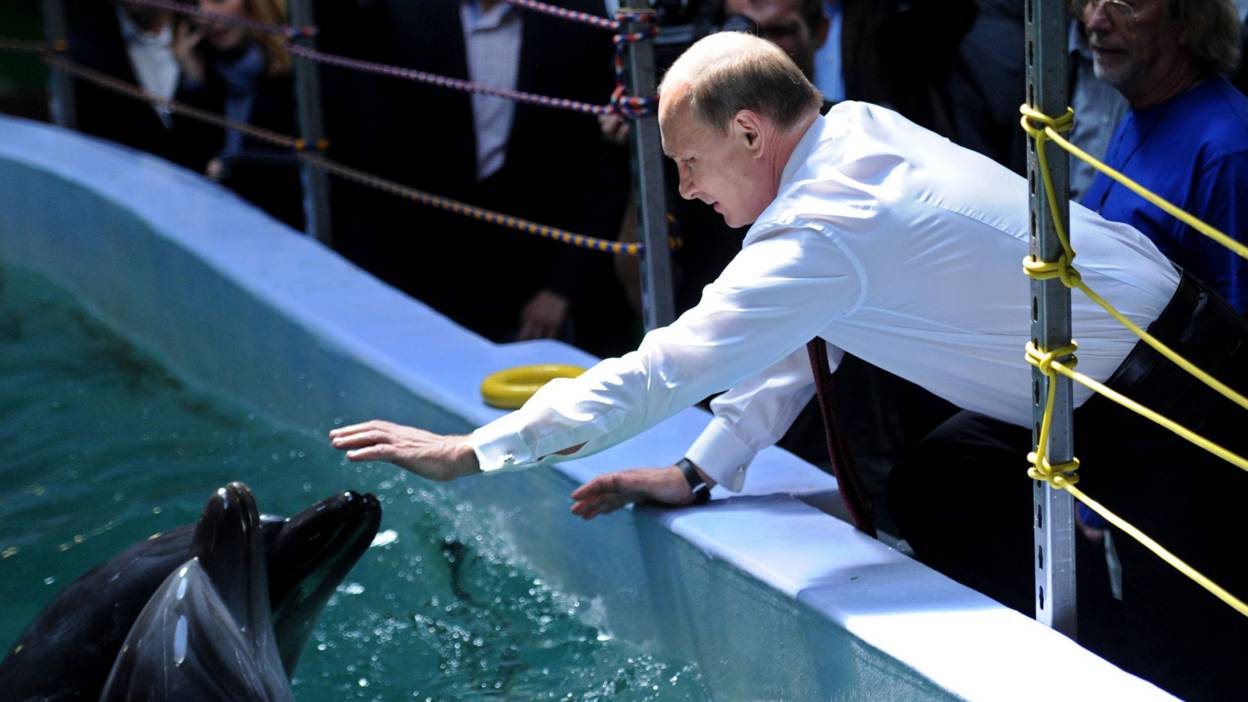 Putin stokes a dolphin