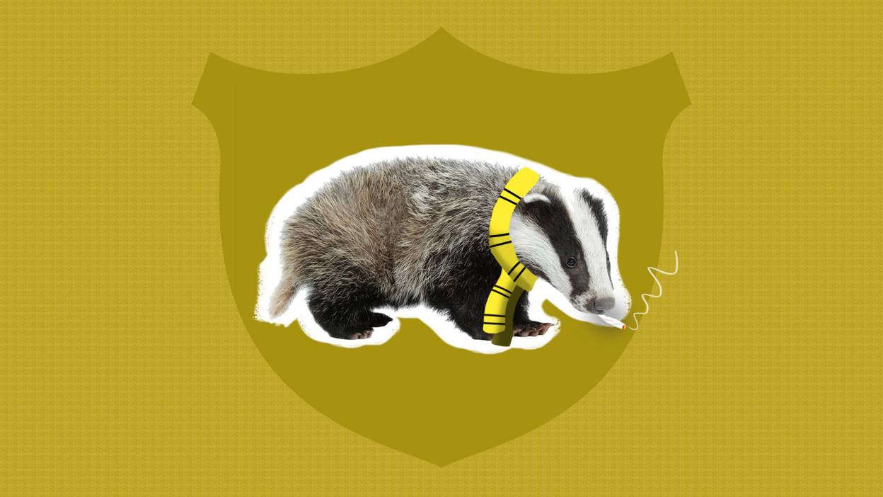 Hufflepuff badger smoking weed