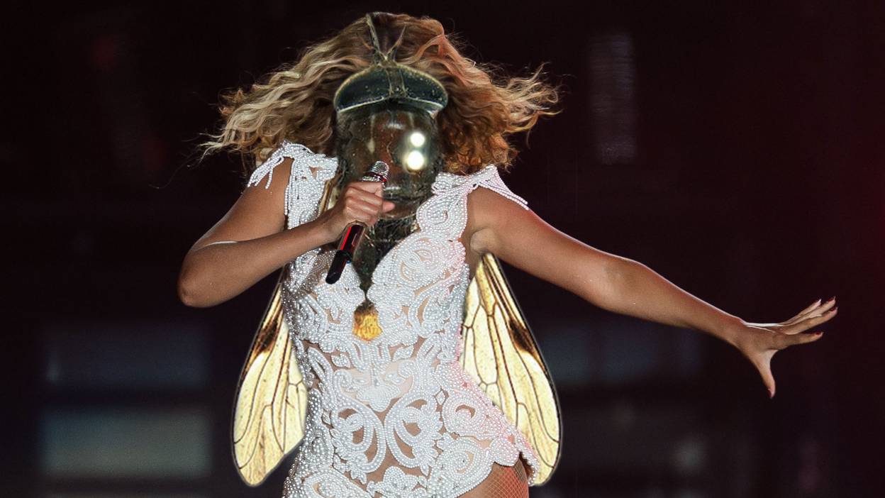 Five surprising celebs who've had insects named after them - BBC Three