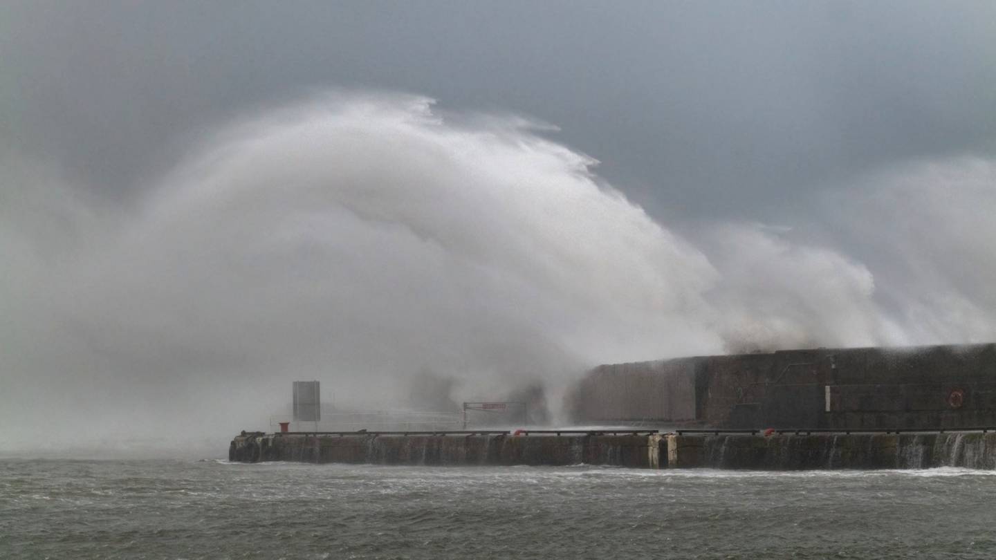 Storm Arwen: Falling tree kills man as Storm Arwen hits UK - BBC News